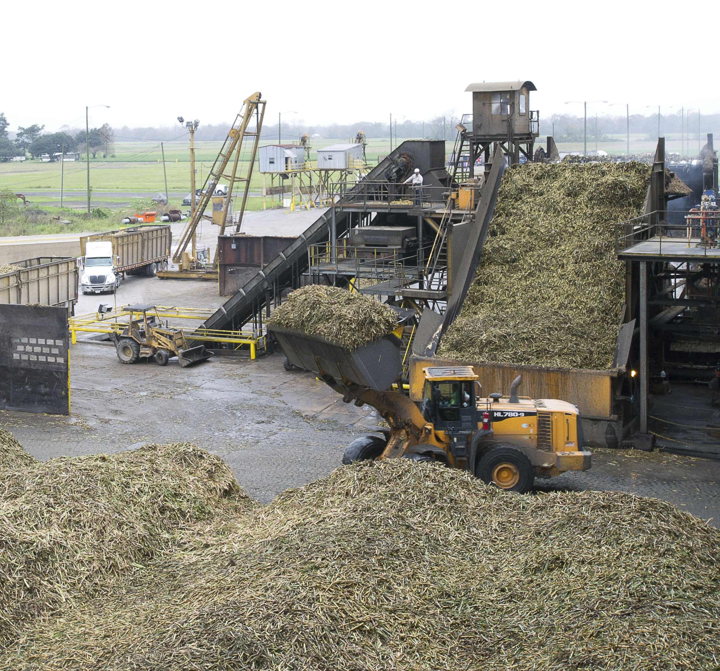 Development of Simulation Models to Support Louisiana Sugar Mills